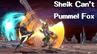 Pummels have a problem.
