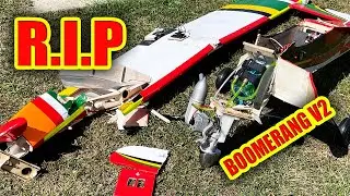 Seagull Boomerang Crash Carnage