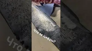 Что за цифры Нож режет даже Чугун