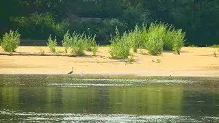 Рыбалка на Ахтубе. Ловля сазана на жмых. Один на рыбалке с ночевкой в поисках трофея.