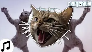 dubstep cat... in 5 minutes - ru