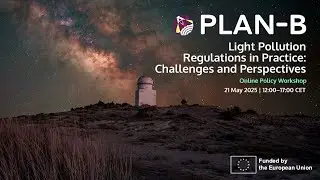 Light Pollution Regulations in Practice: Challenges and Perspectives