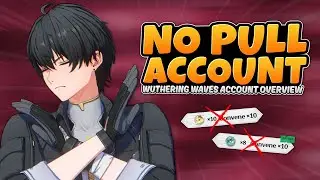 How I Beat* Wuthering Waves Without Pulling | Account Overview
