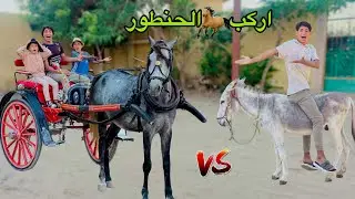 لما تشتغل انت واخوك الصغير علي حنطور في السياحة 🐎😂| علاء حسين
