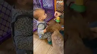 The real treat is watching till the end 🤪 