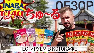 Как покорить кошачьи сердца?! / Обзор INABA CIAO / Влажный корм для кошек из Японии