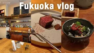 [🇯🇵일본 일상 브이로그] 캠핑 컨셉 레스토랑🏕️, 고즈넉한 코스 이자카야, 이사 전 니시진에서의 마지막 식사 모음, 텐진 파스타 맛집, 나카스 세계 맥주집, 비쿤 생일 전야제🎂