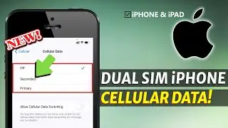 How to Switch Cellular Data Settings on Dual SIM iPhone?