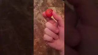 Собака играет с помидоркой