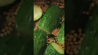 А фины в курсе ?