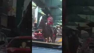 Oha! New Yorkta evcil hayvan anlayışı!