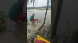 কুমিল্লাস্থ নাঙ্গলকোট উপজেলার গ্রামের  আজকের অবস্থা😥 #অতিবৃষ্টি  #বন্যা #গোমতীনদী #prayforcumilla