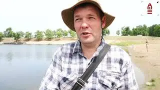 Гидробиолог из Саратова предложил решение проблемы с водорослями "спирогира" на балаковском пляже