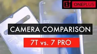 OnePlus 7T vs OnePlus 7 Pro Camera Test and Comparison || Daylight