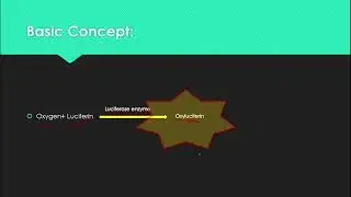 Pyrosequencing-Urdu/Hindi