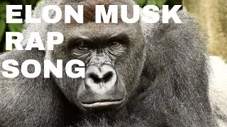 Elon Musk Harambe Rap Song with Lyrics