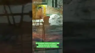 В Кузнецке сняли на видео, как группа мужчин избивает лежачего на снегу человека .