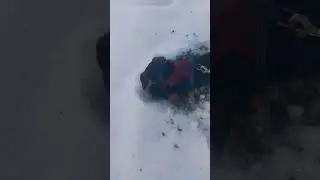 вечерняя прогулка 