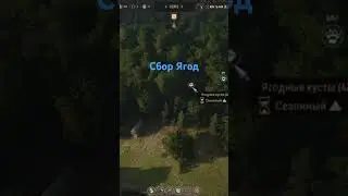 Maner Lords сбор ягод