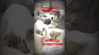#Детский