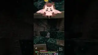 Husband stole the stream | potatobirded on #Twitch #betterminecraft #minecraft #fyp #funny #meme