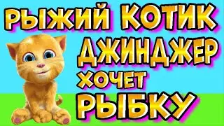 ДЖИНДЖЕР Рыжий Говорящий Котик  Хочет Рыбку в Адопт Ми. | РОБЛОКС | ROBLOX | ADOPT ME |