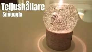 Snöuggla | Teljushållare | Vintern 2018