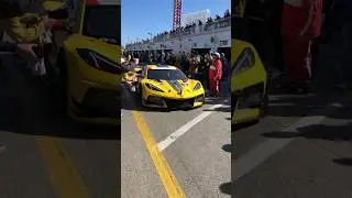 60 seconds of IMSA cars in the paddock #Rolex24