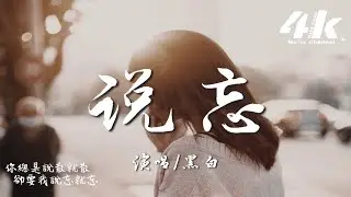 黑白 - 說忘『你總是說散就散，卻要我說忘就忘。』【高音質|動態歌詞Lyrics】♫