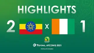 HIGHLIGHTS | 