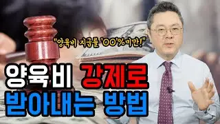 양육비 안 주면 애는 어떻게 키우라고... 양육비 받아내는 법ㅣ이혼전문변호사
