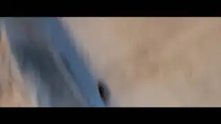 Lizzano Meme Run