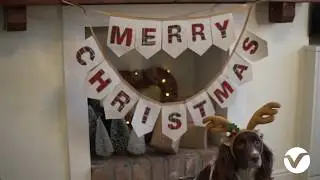 How to Decorate Your Fireplace for Christmas | VELCRO® Brand UK