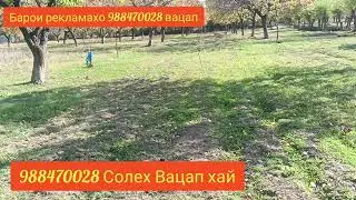 Боги фруши дар Чилгази (сахм)50сотк