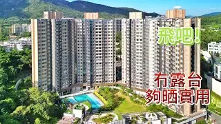 【時代睇樓團】優先參觀 發展商強強聯手  更有保證         #新盤 #飛吧 #三房