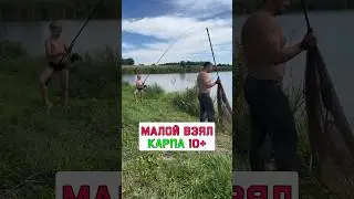 На эту насадку взяли карпа 10+кг #карпфишинг