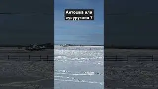 8 марта 2024 г.
