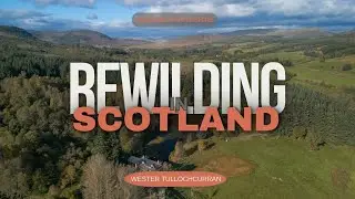 Rewilding in Scotland - Wester Tullochcurran in Perthshire - a Rewilding Project with a Difference