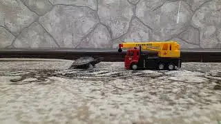 БЕДНАЯ ЧЕРЕПАШКА