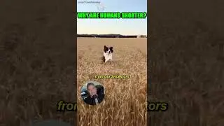 Did Farming Shrink You?