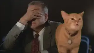 I Go Meow