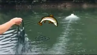 Ставим сеть с помощью игрушечный лодки