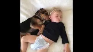 Тео и Бэо -- восхитительные фотографии, видео щенка и малыша. 6
