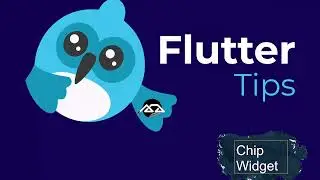 28 - Flutter tips 28 ( Chip Widget )