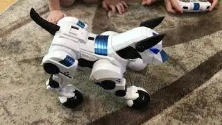 ROBOT DOGGIE / HAVING FUN / PET / UNPACKING / RADIO CONTROL
