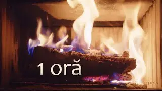 Foc in Semineu de Craciun cu sunet de foc si lemne trosnind (1 ora)
