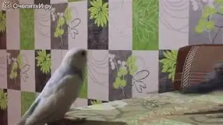Позязя. Ну один разочек.