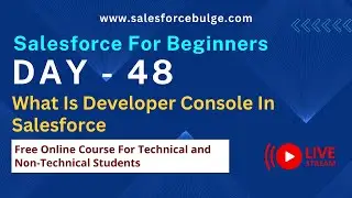 What Is Developer Console In Salesforce | salesforce bulge