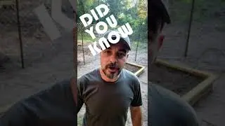 🌱Did You Know?🌱 STOP mulching your garden for weeds! 💦 
