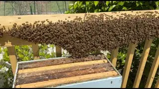 Swarm for Resource Nuc April 5, 2024